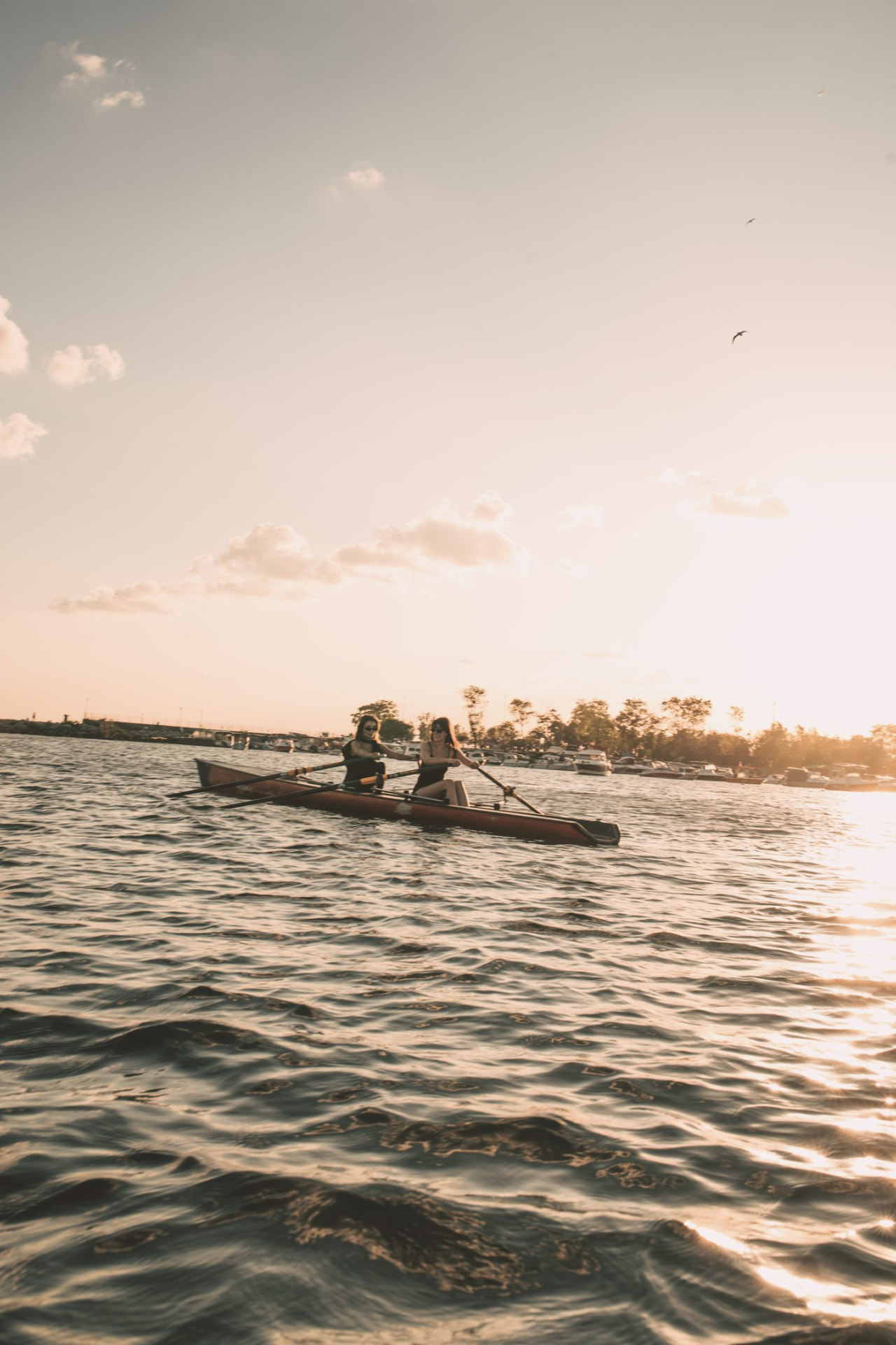 Golden Hour Rowing
